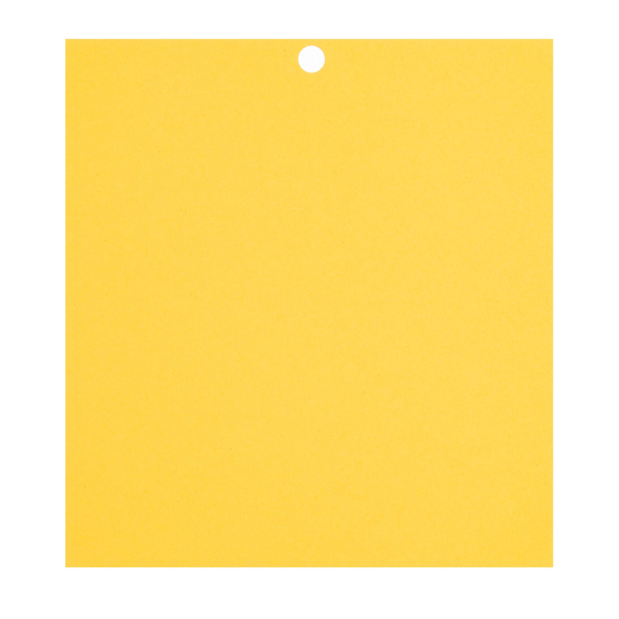 Citrus 6" x 6.5" Cardstock Paper by Recollections™, 100 Sheets
